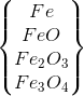 \left \{ \begin{matrix} Fe\\FeO \\ Fe_{2}O_{3} \\ Fe_{3}O_{4} \end{matrix} \right \}