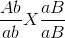 \frac{Ab}{ab}X \frac{aB}{aB}