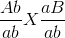 \frac{Ab}{ab}X \frac{aB}{ab}