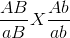 \frac{AB}{aB}X \frac{Ab}{ab}