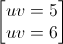 \begin{bmatrix}uv=5\\uv=6\end{bmatrix}