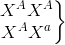 \left.\begin{matrix} X^{A}X^{A}\\ X^{A}X^{a} \end{matrix}\right\}