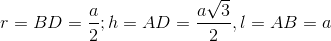 r=BD=\frac{a}{2};h=AD=\frac{a\sqrt{3}}{2},l=AB=a